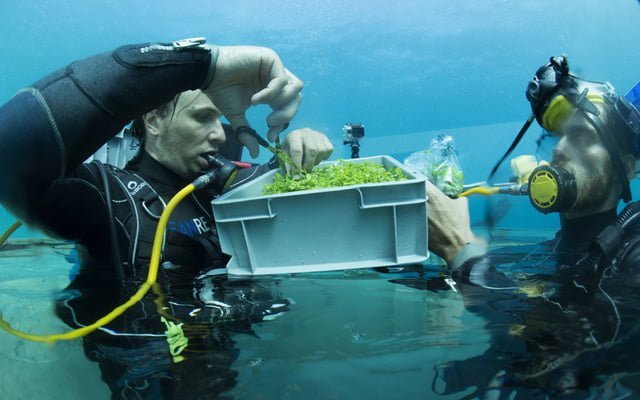 Công nghệ nhà kính trồng rau dưới đáy biển