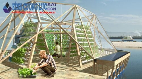Nhà kính nổi JellyfishBarge